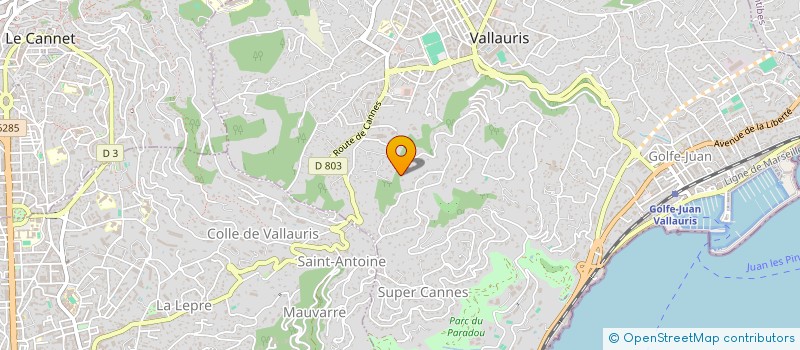 localisation de l'entreprise MONSIEUR OLIVIER CHIAPELLO à VALLAURIS