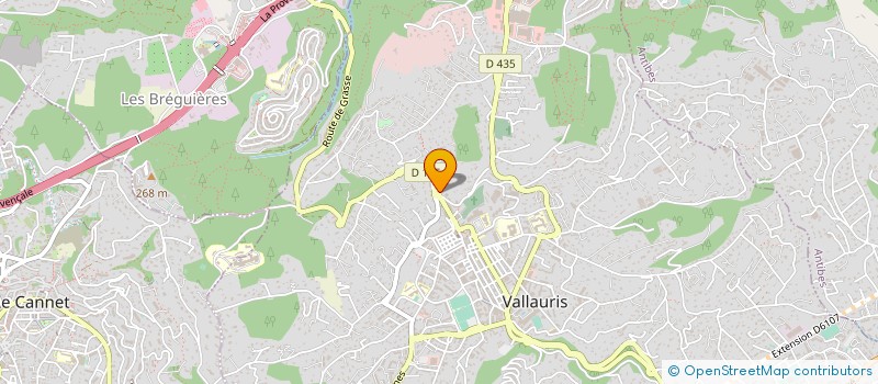 localisation de l'entreprise MONSIEUR OLIVIER CLERET à VALLAURIS