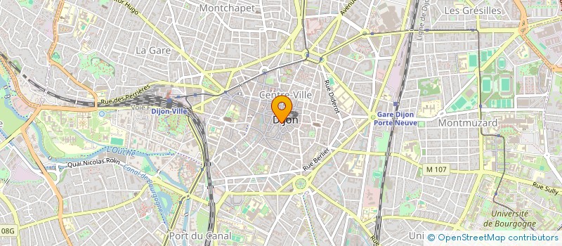 localisation de l'entreprise MONSIEUR OLIVIER DANCHIN à DIJON