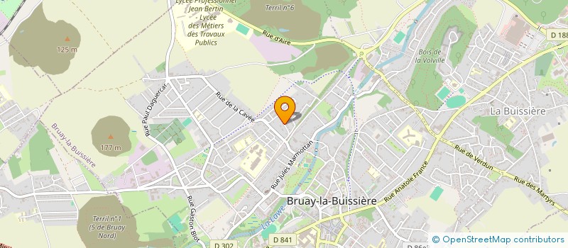 localisation de l'entreprise MONSIEUR OLIVIER DANNEELS  BRUAY-LA-BUISSIERE