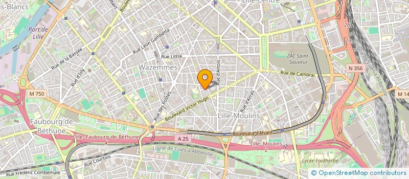 localisation de l'entreprise MONSIEUR OLIVIER DE LA SAYETTE  LILLE