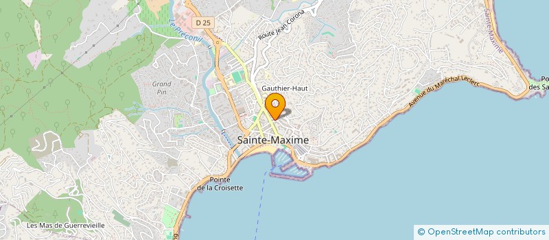 localisation de l'entreprise MONSIEUR OLIVIER DELALANDE à SAINTE-MAXIME