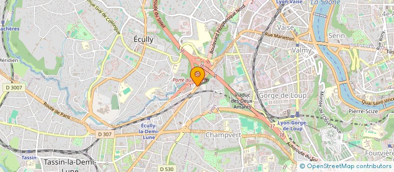 localisation de l'entreprise MONSIEUR OLIVIER DELPONT  TASSIN-LA-DEMI-LUNE