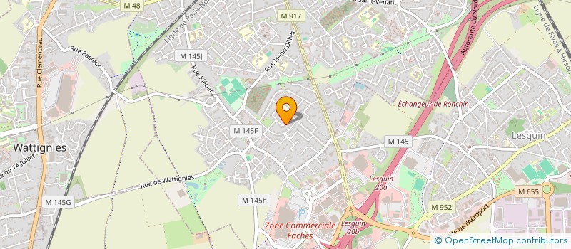 localisation de l'entreprise MONSIEUR OLIVIER DELSALLE à FACHES-THUMESNIL