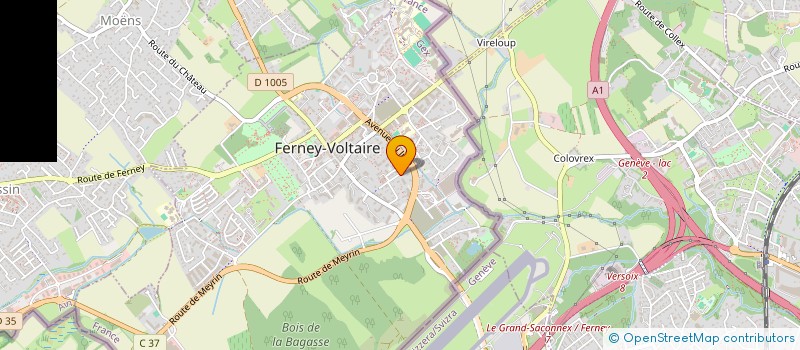 localisation de l'entreprise MONSIEUR OLIVIER DONON à FERNEY-VOLTAIRE