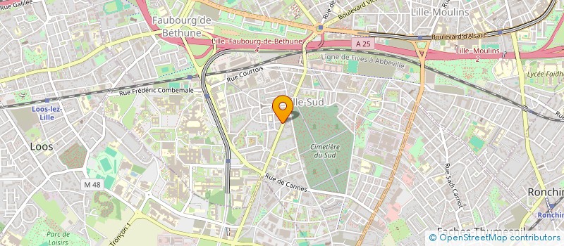 localisation de l'entreprise MONSIEUR OLIVIER DOUTY  LILLE