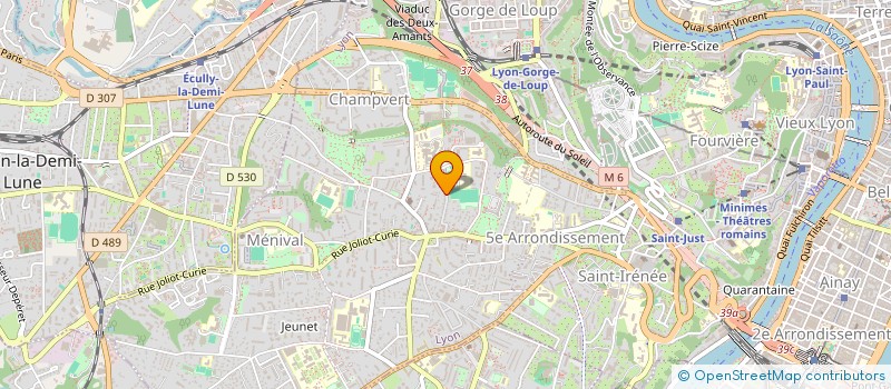 localisation de l'entreprise MONSIEUR OLIVIER FAUVET à LYON