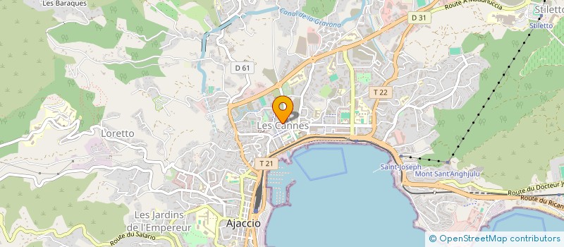 localisation de l'entreprise MONSIEUR OLIVIER FLORES  AJACCIO