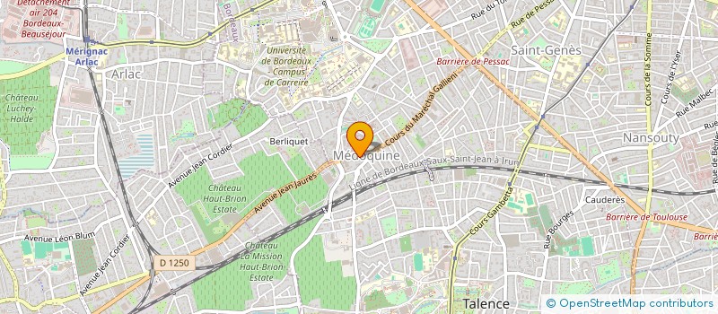 localisation de l'entreprise MONSIEUR OLIVIER GIROUD  TALENCE