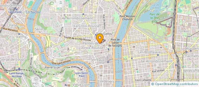 localisation de l'entreprise MONSIEUR OLIVIER GODIN à LYON