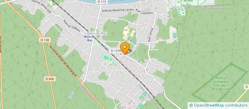 localisation de l'entreprise MONSIEUR OLIVIER IBAO DESCHAMPS  BOIS-LE-ROI