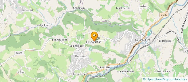 localisation de l'entreprise MONSIEUR OLIVIER JOLIVET à BRUSSIEU