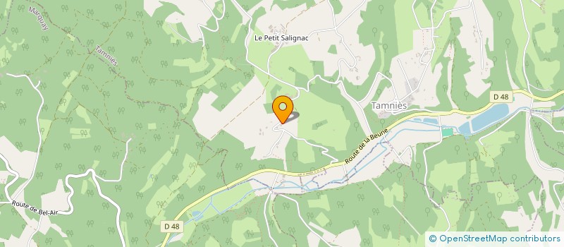 localisation de l'entreprise MONSIEUR OLIVIER LAMONZIE  TAMNIES