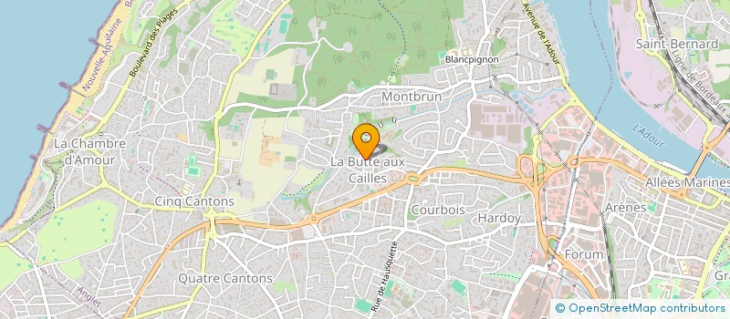 localisation de l'entreprise MONSIEUR OLIVIER LEBEL  ANGLET