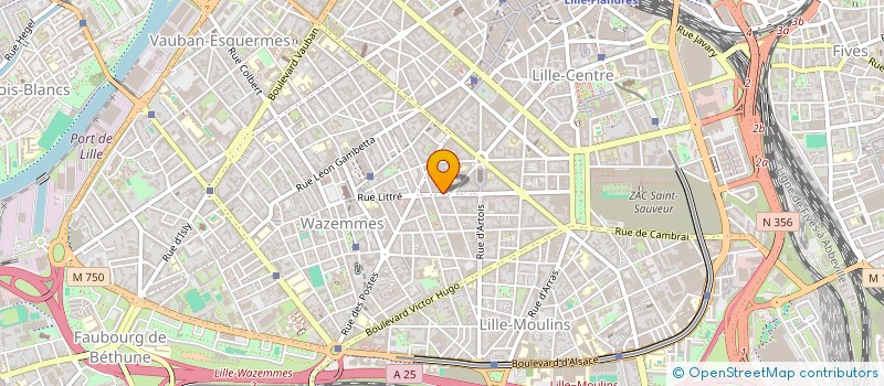 localisation de l'entreprise MONSIEUR OLIVIER LEROY à LILLE