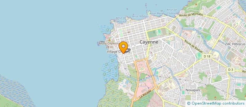 localisation de l'entreprise MONSIEUR OLIVIER LOUISON à CAYENNE