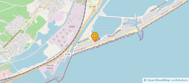 localisation de l'entreprise MONSIEUR OLIVIER LOUPETIS  BAYONNE