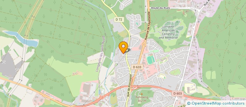 localisation de l'entreprise MONSIEUR OLIVIER MACQUET  SAINT-AVOLD