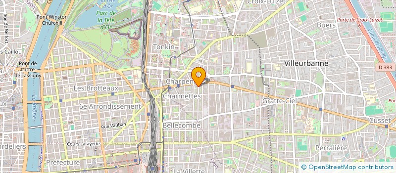 localisation de l'entreprise MONSIEUR OLIVIER MARTIN  VILLEURBANNE