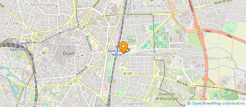 localisation de l'entreprise MONSIEUR OLIVIER MEILLERAT à DIJON