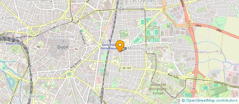 localisation de l'entreprise MONSIEUR OLIVIER MOREAU à DIJON