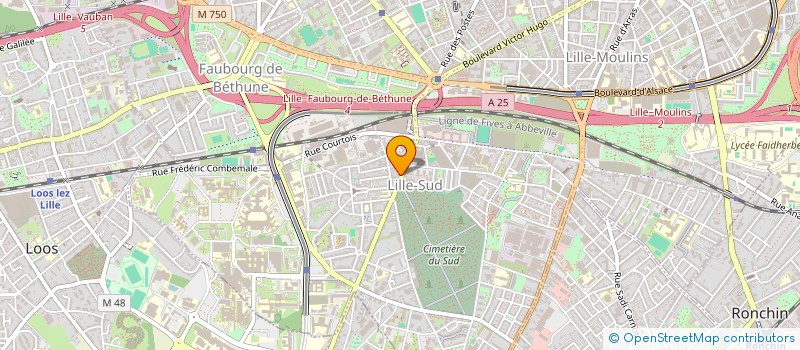 localisation de l'entreprise MONSIEUR OLIVIER PAGEAU  LILLE