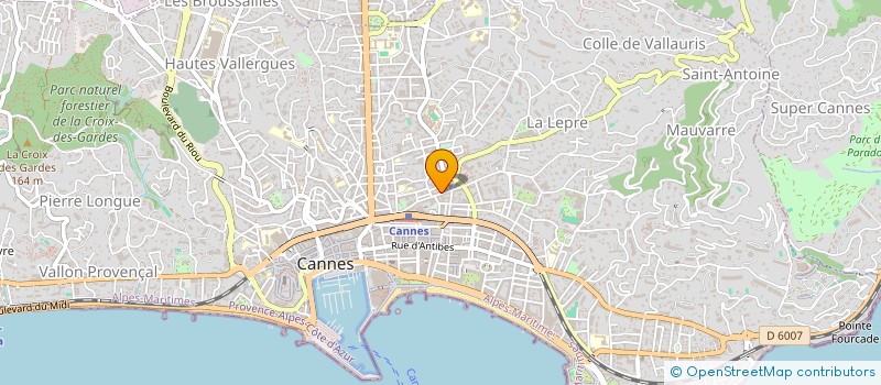 localisation de l'entreprise MONSIEUR OLIVIER PASCAL DOMIN à CANNES