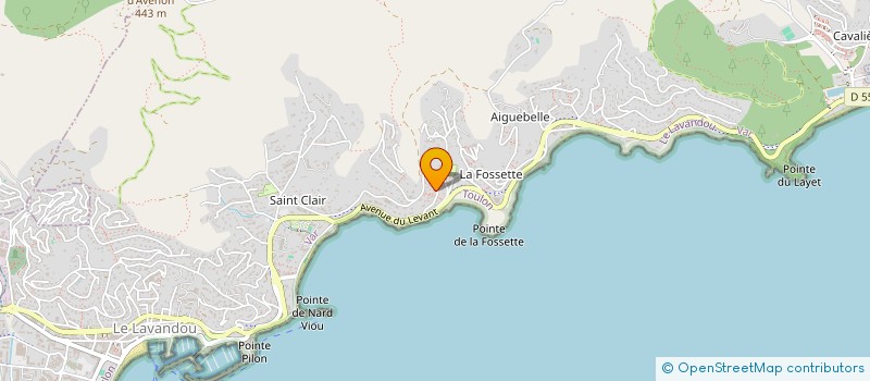 localisation de l'entreprise MONSIEUR OLIVIER PIVETEAU à LE LAVANDOU