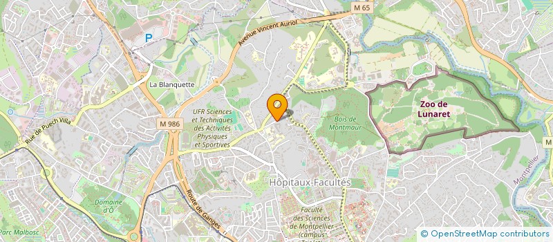 localisation de l'entreprise MONSIEUR OLIVIER PLAZZI à MONTPELLIER