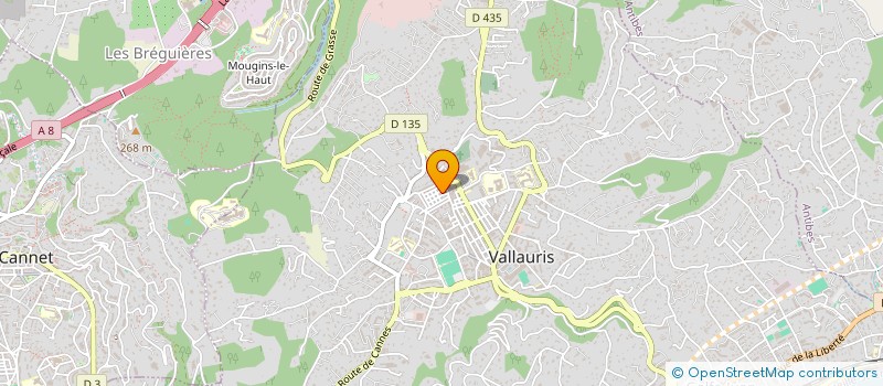 localisation de l'entreprise MONSIEUR OLIVIER PLISSON à VALLAURIS