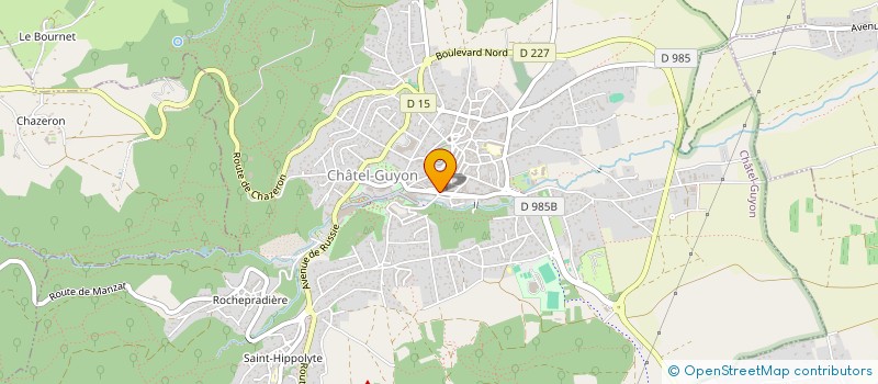 localisation de l'entreprise MONSIEUR OLIVIER RAYROLLES  CHATEL-GUYON