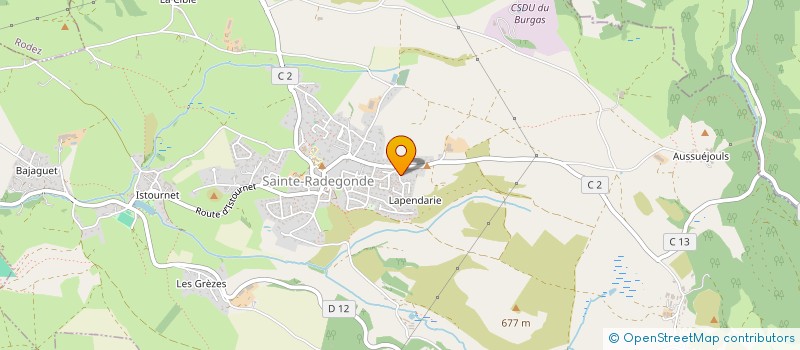 localisation de l'entreprise MONSIEUR OLIVIER SEGURET  SAINTE-RADEGONDE