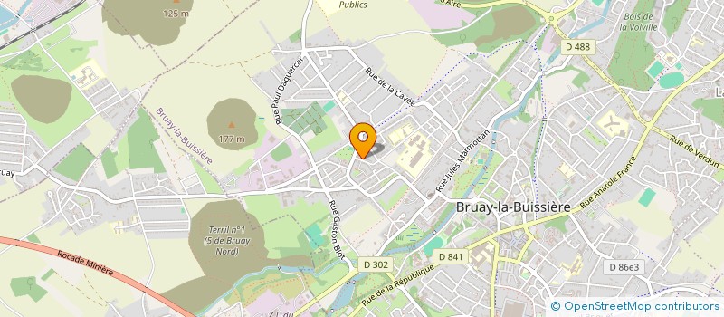 localisation de l'entreprise MONSIEUR OLIVIER TAFFIN  BRUAY-LA-BUISSIERE