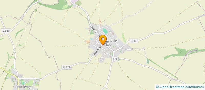 localisation de l'entreprise MONSIEUR OLIVIER TRIFFAUX  LA NEUVILLE-ROY