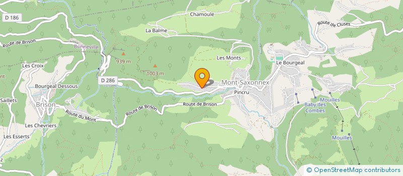 localisation de l'entreprise MONSIEUR OLIVIER VILLERON  MONT-SAXONNEX