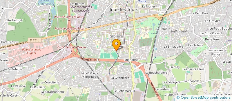 localisation de l'entreprise MONSIEUR OMAR MOHAMAD AHMED  JOUE-LES-TOURS