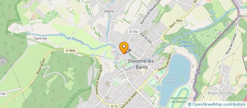 localisation de l'entreprise MONSIEUR OMRANE DJERBI à DIVONNE-LES-BAINS