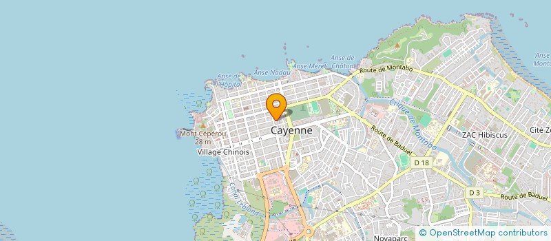 localisation de l'entreprise MONSIEUR ORIVALDO RODRIGUES MACIEL  CAYENNE