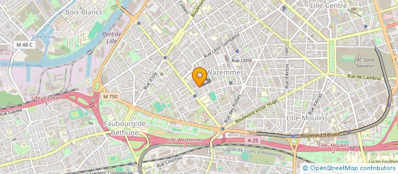 localisation de l'entreprise MONSIEUR OSMAN ABDALLA ADAM à LILLE