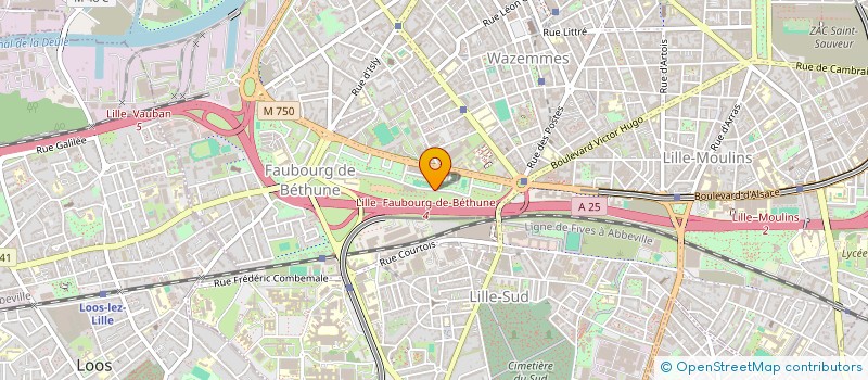 localisation de l'entreprise MONSIEUR OSMAN HAMED ADAM à LILLE