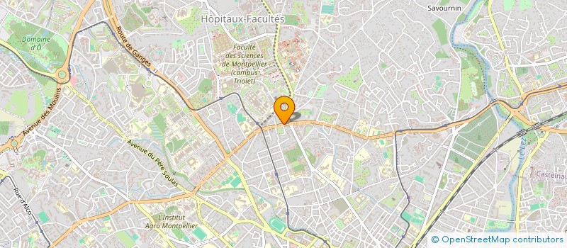 localisation de l'entreprise MONSIEUR OTHMAN DE POLTORASKY à MONTPELLIER