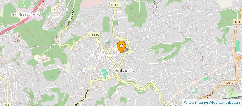 localisation de l'entreprise MONSIEUR OTHMAN TOUATI à VALLAURIS