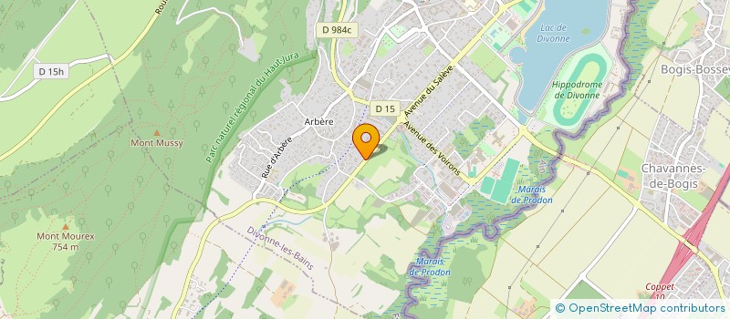 localisation de l'entreprise MONSIEUR OTHMEN CHRITI  DIVONNE-LES-BAINS