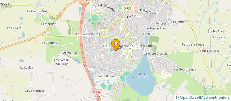 localisation de l'entreprise MONSIEUR OUAHIB ROUDANI  BAIN-DE-BRETAGNE