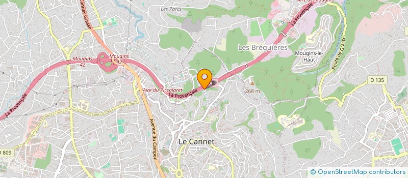 localisation de l'entreprise MONSIEUR OUALID BRIKI à LE CANNET