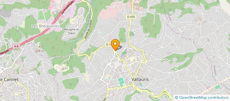localisation de l'entreprise MONSIEUR OUISSEM GUIZANI à VALLAURIS