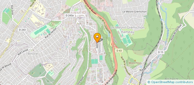 localisation de l'entreprise MONSIEUR OUSMANE DIABY  ROUEN