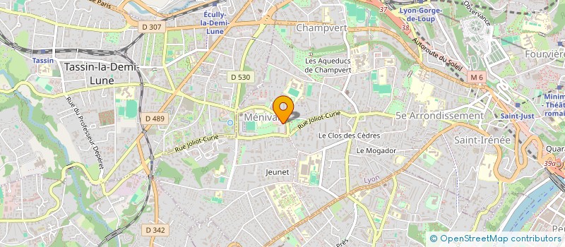 localisation de l'entreprise MONSIEUR OUSMANE NDOYE à LYON