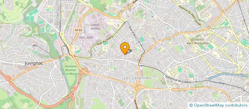 localisation de l'entreprise MONSIEUR OUSSAMA ANEJDAM à MONTPELLIER