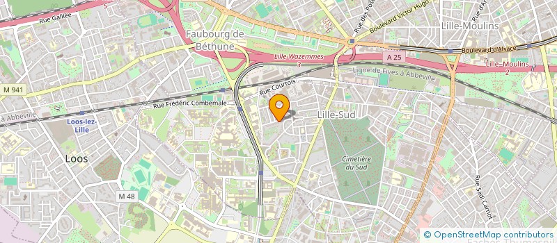 localisation de l'entreprise MONSIEUR OUSSAMA EL IDRISSI à LILLE